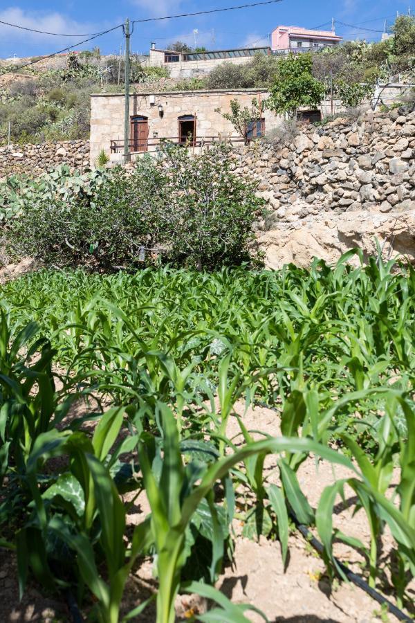 Eco Holidays House Raices Villa Fasnia Exteriör bild